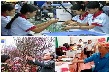 Chỉ đạo, điều hành của Chính phủ, Thủ tướng Chính phủ nổi bật tuần từ 14-18/11